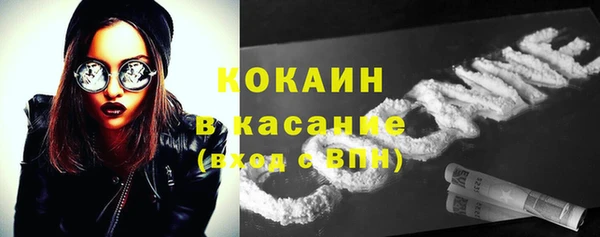 молекула духа Белокуриха
