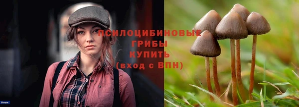 молекула духа Белокуриха